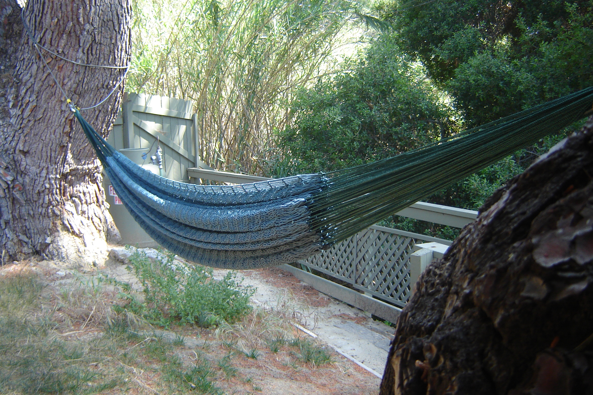 Chris' sister sent a great hammock.